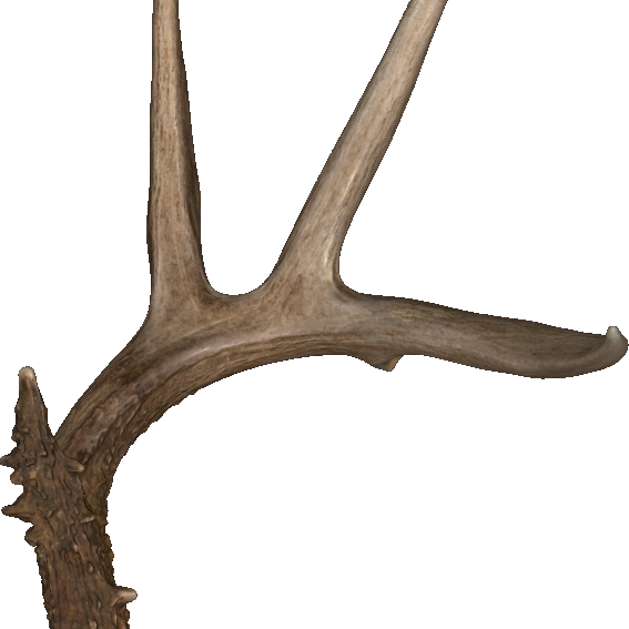 antler 2